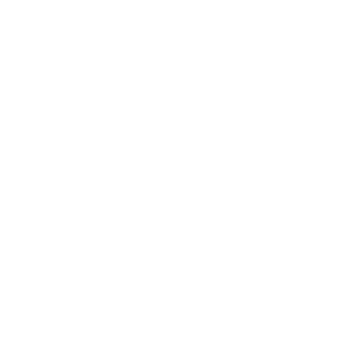 Sidekick Service Icon