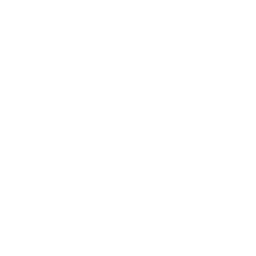 Sidekick Service Icon