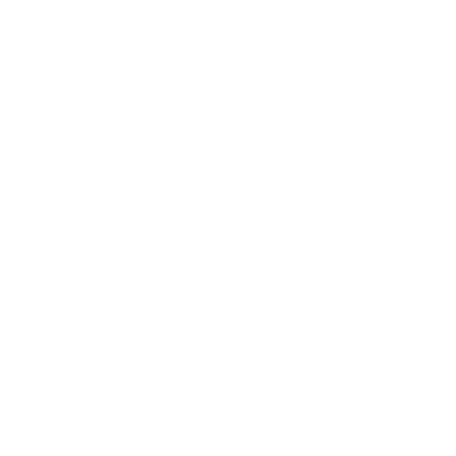 Sidekick Service Icon