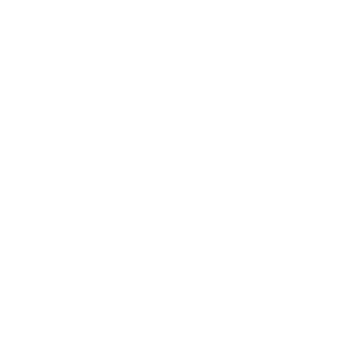 Sidekick Service Icon