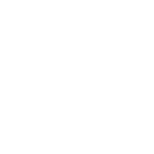 Sidekick Service Icon